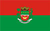 Flag of José Bonifácio