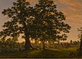 The Charter Oak at Hartford, oil on canvas, Frederic Church, 1846