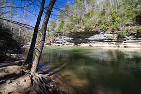 A photo of Clear Creek in early spring in William B. Bankhead National Forest