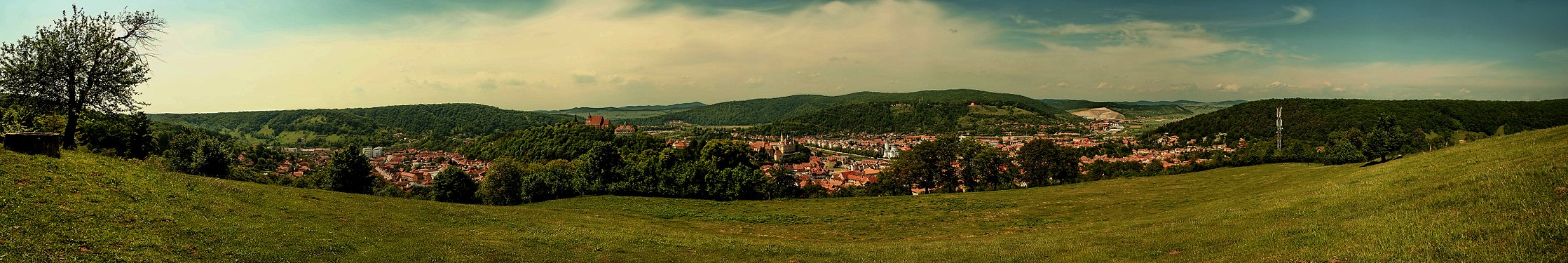 View of Sighișoara from Lunca Poștei