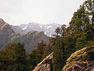 Snow-capped mountains view from Chopta-Tungnath Trek