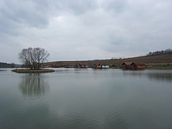 Fish pond of Királyberk in Polány