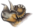 Restoration of Wendiceratops