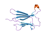 2d4d: The Crystal Structure of human beta2-microglobulin, L39W W60F W95F Mutant
