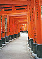 Fushimi Inari Torii Kyoto