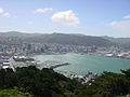 View of Wellington City from Mount Victoria