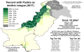 Percent speaking Pashto natively