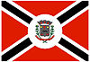 Flag of Lagarto