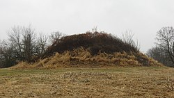 The Dixon Mound in Homer