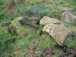 Bog-wood and boulders at the Stumpy Knowe near South Auchenmade, Ayrshire, Scotland