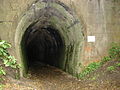 Northern portal of Price's Tunnel