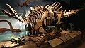 Stegosaur in Gansu Provincial Museum