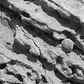 Close-up of a rock outcrop.