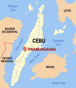 Map of Cebu with Pinamungajan highlighted