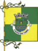 Flag of Caldas das Taipas
