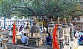 28 Bodhi Tree and Meditators, at the Mahabodhi Temple, Bodhgaya