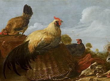 Cock and Hens in a Landscape (ca. 1619–53), 52 x 70 cm., Mauritshuis