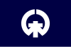 Flag of Kisarazu