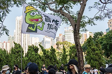 A protester waving a flag with Pepe the Frog on it