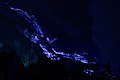 Image 85Blue lava of Ijen crater, East Java (from Tourism in Indonesia)