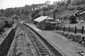 Brynamman GWR railway station (1962)