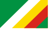 Flag of Zduńska Wola