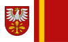 Flag of Dąbrowa County