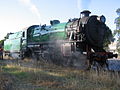 3642 at the Hunter Valley Steamfest in April 2009