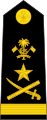 ޖެނެރަލް General (Maldivian Marine Corps)