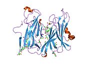 1sdw: Reduced (Cu+) peptidylglycine alpha-hydroxylating monooxygenase with bound peptide and dioxygen