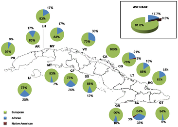 Ancestral contributions in Cubans as inferred from Y-chromosome markers.