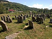 Jewish cemetery in Petrova