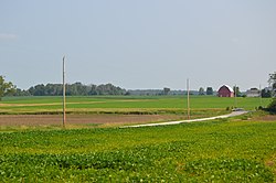 Soybean fields south of Vanlue on County Road 26