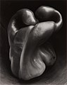 Image 19Pepper No. 30, by Edward Weston (edited by Bammesk) (from Wikipedia:Featured pictures/Artwork/Others)