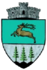 Coat of arms of Boroaia