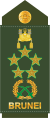Fil marsyal (Royal Brunei Land Force)[21]