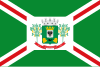 Flag of Capanema, Paraná, Brazil
