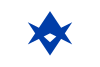 Flag of Toyota, Aichi