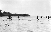 U.S. Marines wading ashore on Tulagi Island