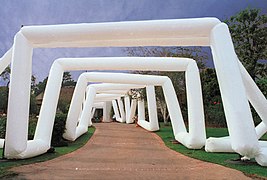 Tunnel of arched Airtubes