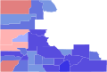 2006 CO-3 election