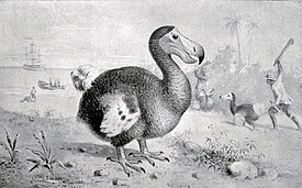 Black and white illustration of men pursuing dodos