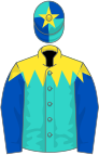 Turquoise, yellow shoulders, royal blue sleeves, turquoise and royal blue quartered cap, yellow star
