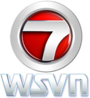 A shiny red sphere framed by a combined chrome 7 and circle (the "circle 7" logo). Underneath the number design are the letters "WSVN" in a distinctive typeface, itself also with a chrome appearance.