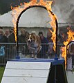 Keith Moseley: Dog agility and obedience trials at Monmouth Show.