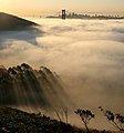 Image 41San Francisco Bay shrouded in fog, as seen from the Marin Headlands looking east. The fog of San Francisco is a kind of sea fog, created when warm, moist air blows from the central Pacific Ocean across the cold water of the California Current, which flows just off the coast. The water is cold enough to lower the temperature of the air to the dew point, causing fog generation. In this photo, the towers of the Golden Gate Bridge can be seen poking through the fog, and the Bay Bridge is visible in the distance.