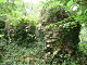 Remains of a stone wall, covered by vegetation, in woodland