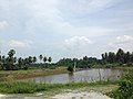 Countryside, Ban Klang