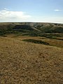 A buffalo jump and pemmican processing site in the Coalmine Ravine near Herschel