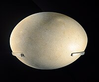 Well preserved egg showing porous surface